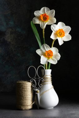 Nergis ya da narsisli yaratıcı kompozisyon, dekoratif makas ve koyu arkaplanda sicim. Pankart, el ilanı, kopyalama alanı olan kartpostal.