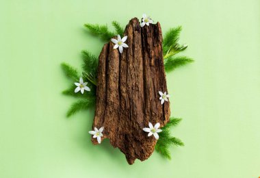 Ağaç kabuğunun düz yapısı ve çiçek açan fotokopi alanı. Kozmetik, cilt bakımı, güzellik, vücut bakımı. Ürün için maket. Vejetaryen çevre dostu. Biyofilik tasarım.