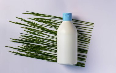 Etiketsiz plastik plastik şişe ve beyaz arka planda yeşil dikenler. Güzellik ve cilt bakımı. Ürün için maket. Kopyalama alanı olan spa arkaplanı.