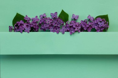 Çiçek kompozisyonu. Mor leylak çiçekleriyle dolu bir kalp. Asgari bahar konsepti. Doğa geçmişi. Düz yat, boşluğu kopyala.