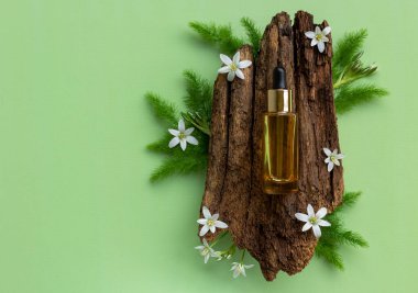 Ağaç kabuğu ve çiçek açan doğal bir kürsüde gerekli yağların bulunduğu kompozisyon. Doğal SPA kozmetik ürünleri. Organik kozmetik ürünleriyle soyut podyum.
