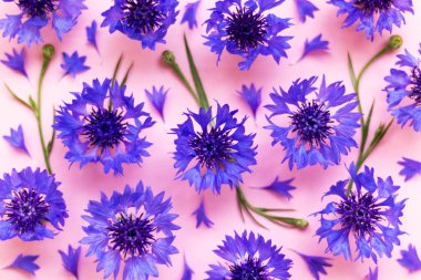 Çiçeklerle birlikte yaratıcı düz kompozisyon. Tebrik kartı şablonu. Çiçek soyut. Üst görünüm, alanı kopyala.