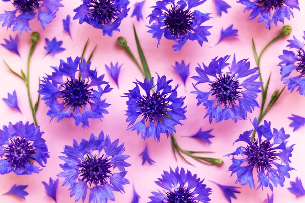 Creative Flat Lay Composition Cornflowers Greeting Card Template Floral Abstract — Foto de Stock