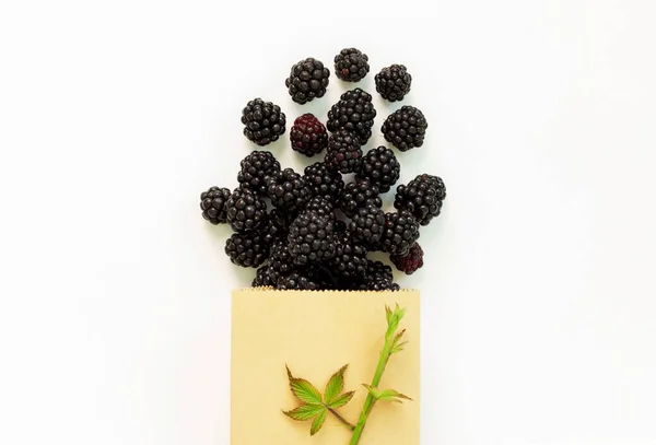 成熟的黑莓 绿色包装 白色背景 可持续生活方式概念 零废物 无塑料背景图 有复制空间 — 图库照片