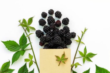 Beyaz arka planda ekolojik ambalajda olgun böğürtlenlerle moda. Sürdürülebilir yaşam tarzı konsepti. Sıfır atık, kopyalama alanı olan plastikten arkaplan.