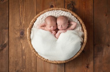 İkiz bebek erkek bir sepet içinde uyku