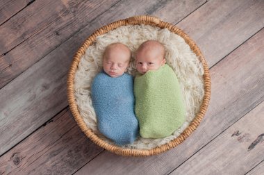 Twin Baby Boys Telling Secrets clipart