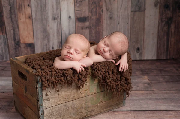 Twin Baby Boys Sleeping in a Wooden Crate — Stock Photo, Image