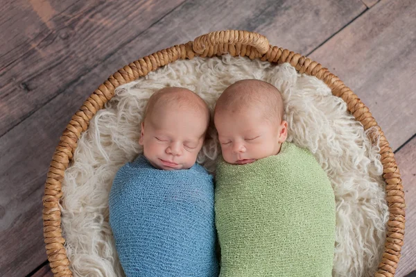 Мальчики-близнецы, спящие в корзине — стоковое фото
