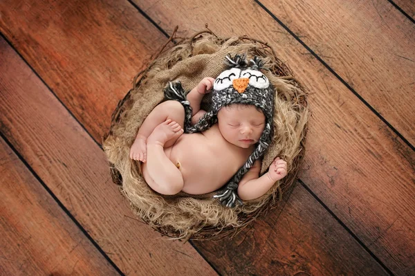 Menino recém-nascido vestindo um chapéu de coruja — Fotografia de Stock