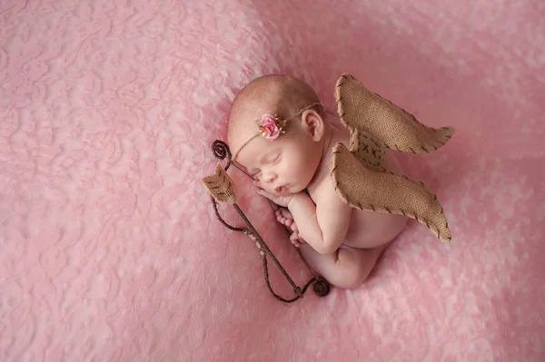 Bebé recién nacido niña usando alas de cupido — Foto de Stock