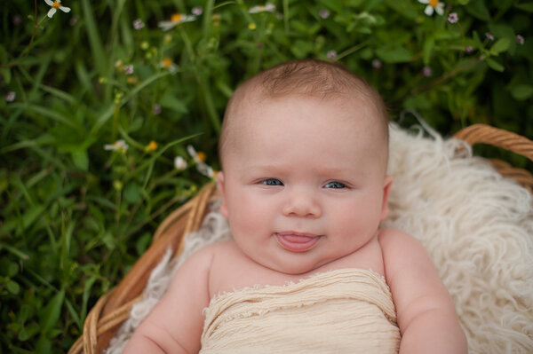 Мальчик в корзине в поле полевых цветов
