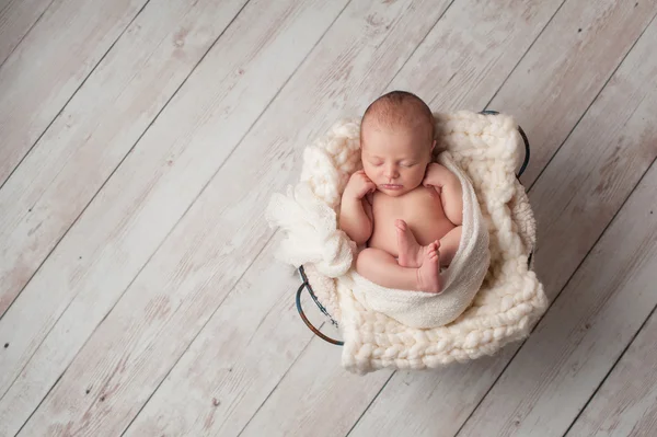 Bebê recém-nascido dormindo em uma cesta de arame — Fotografia de Stock