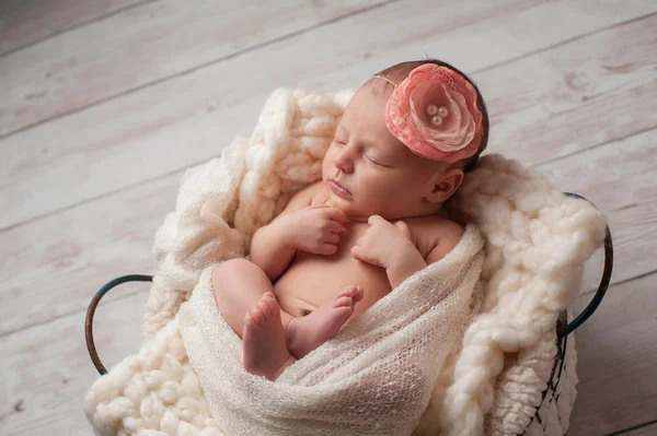 Bebê recém-nascido menina em flor Headband — Fotografia de Stock