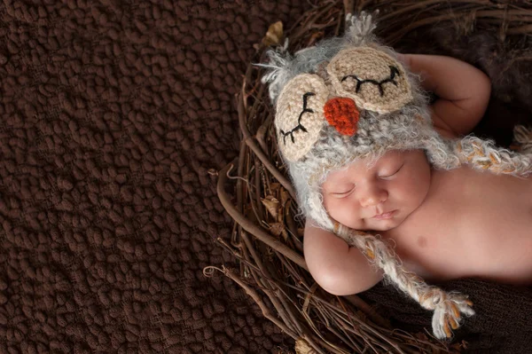 Yeni doğan bebek baykuş şapkalı çocuk — Stok fotoğraf