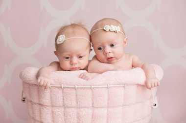 Bir tel sepet içinde oturan ikiz bebek kız
