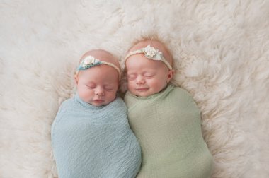 Sleeping Twin Baby Girls clipart