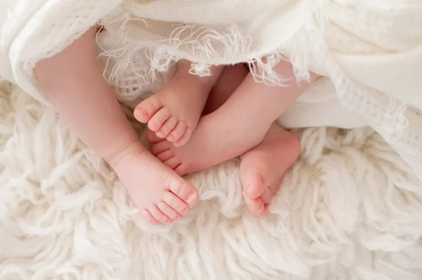 Feet of Twin Baby Girls — Stock Photo, Image