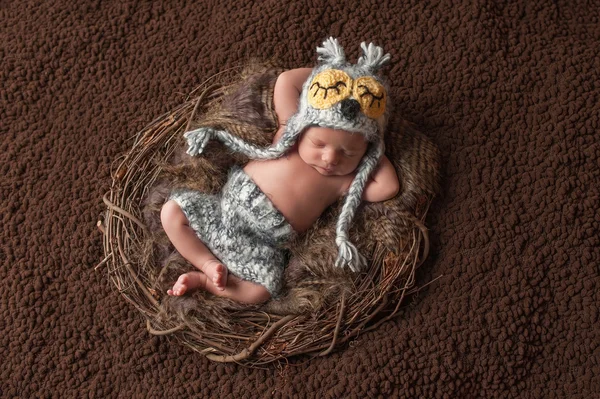 Ύπνου νεογέννητο αγοράκι, φορώντας ένα καπέλο κουκουβάγια — Φωτογραφία Αρχείου