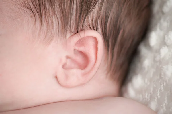 Primer plano de la oreja de un bebé recién nacido —  Fotos de Stock