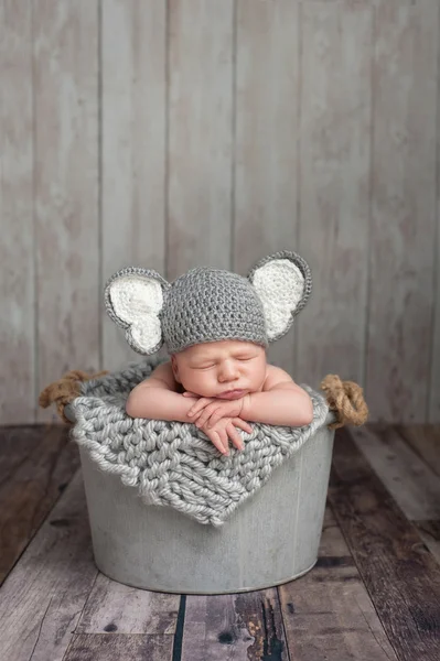 Newborn Baby Boy in an Elephant Costume — Stock Photo, Image