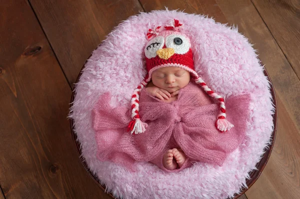 フクロウの帽子と新生児の女の子 — ストック写真
