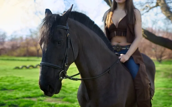 The horse is saddled woman — Stock Photo, Image