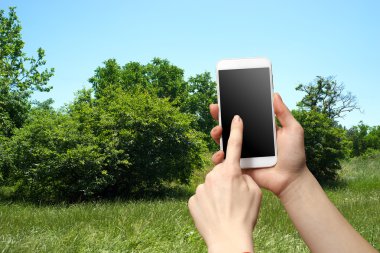 park arka plan üzerinde telefon