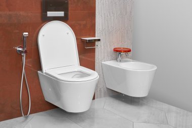 Tuvalet ve Modern bir banyo Bidet