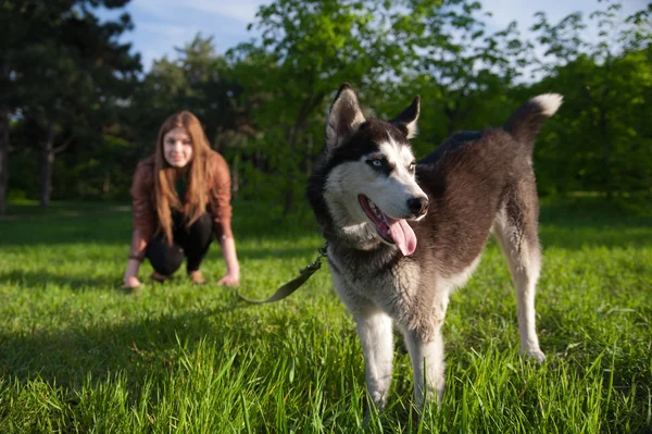 The girl is having fun with her husky dog — Stock Photo, Image