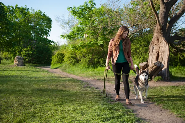 The girl is walking along the footpath with her dog — Stock Photo, Image