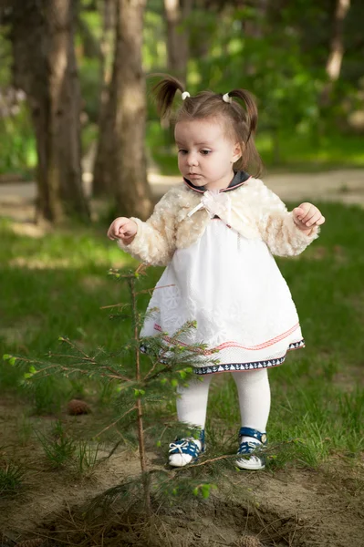 Das kleine Mädchen blickt interessiert auf den Baum — Stockfoto