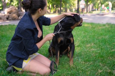 Kızgın Rottweiler bir leash üzerinde