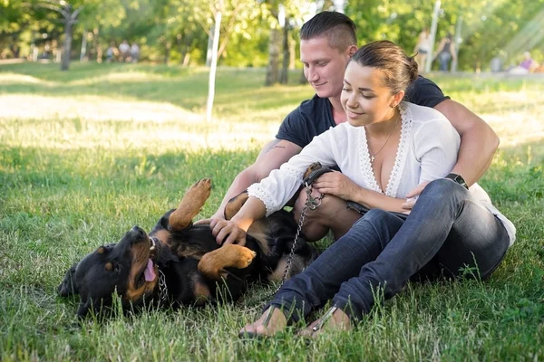 Hunden spelar med ägarna på gräset — Stockfoto