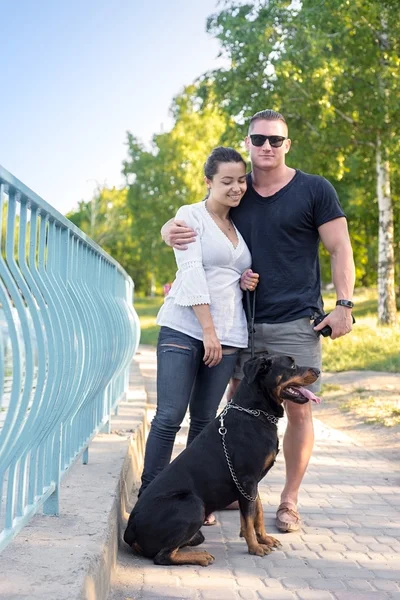Hundespaziergang im Park mit den Besitzern — Stockfoto