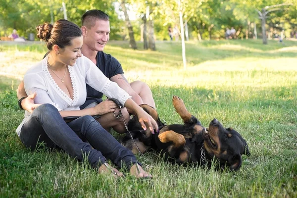 Hond speelt met de eigenaren op het gras — Stockfoto