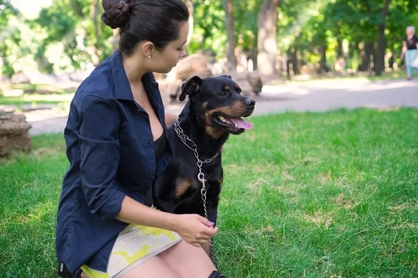 Uma bela mulher caminha no parque Rottweiler — Fotografia de Stock