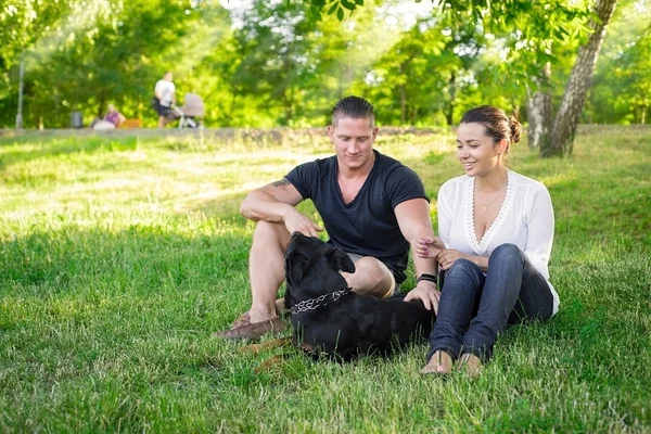 Perro juega con los propietarios en la hierba — Foto de Stock