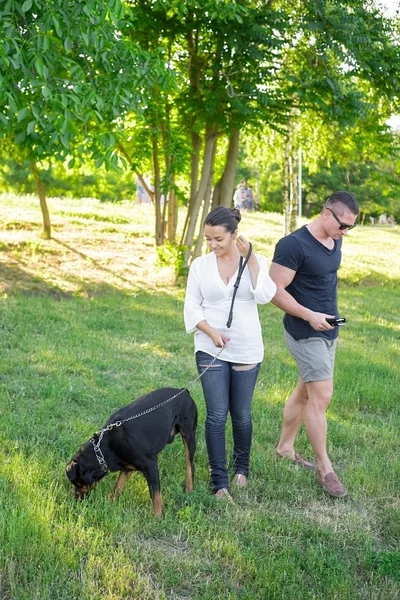 Perro juega con los propietarios en el parque . — Foto de Stock