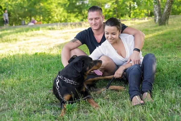 Hermosa pareja paseando un perro en el parque — Foto de Stock