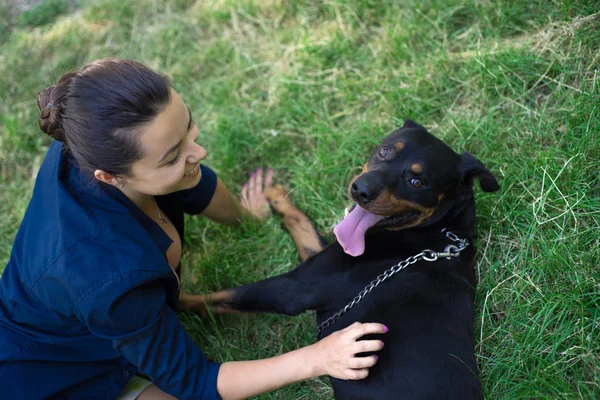 Schöne Frau streichelt einen Hund. Blick von oben — Stockfoto