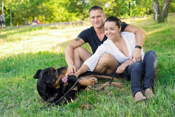 Frumos cuplu de mers pe jos un câine în parc. Concentrează-te pe cuplu — Fotografie, imagine de stoc