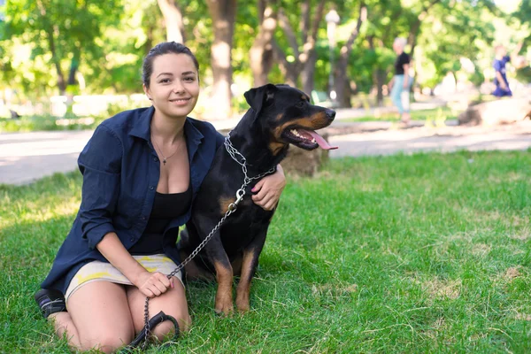 Mulher bonita acariciando um cão. Vista de cima — Fotografia de Stock