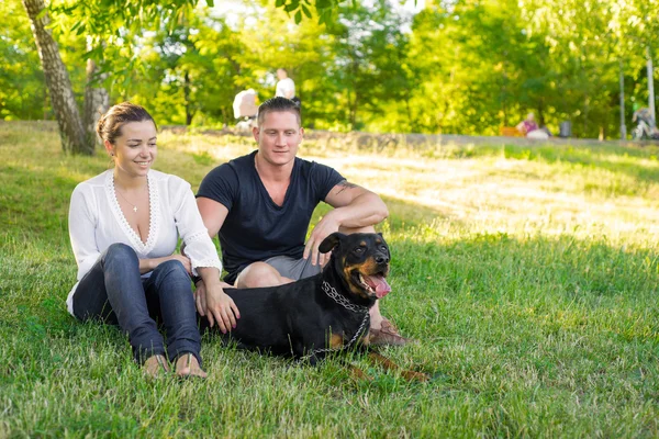 Belo casal a passear um cão no parque. Foco no casal — Fotografia de Stock