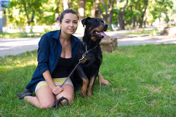 Красива жінка пестить собаку. Вид зверху — стокове фото