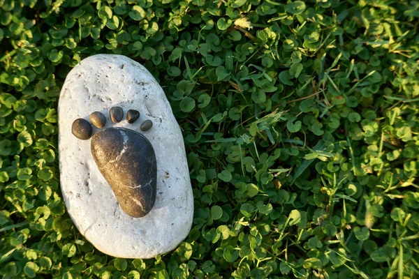 Stopa na trávě s kameny — Stock fotografie