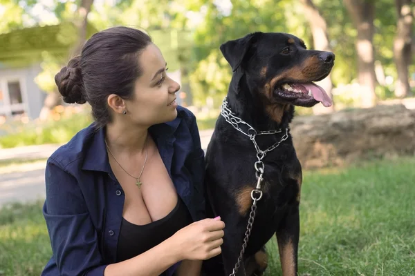 Mooie vrouw een hond aaien. Van bovenaf bekijken — Stockfoto