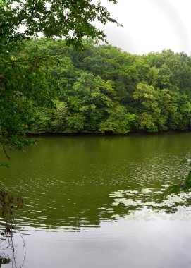 Bahar Nehri'nin güzel akışı
