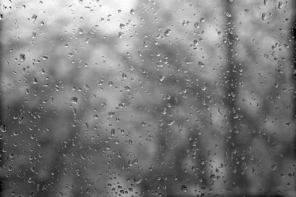 Gotas de lluvia en ventana — Foto de Stock