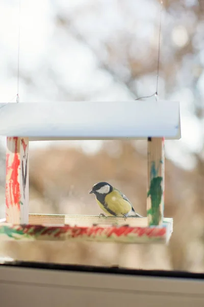 Vogelfutterhäuschen Aus Holz Mit Kohlmeisen Auf Der Fensterbank — Stockfoto